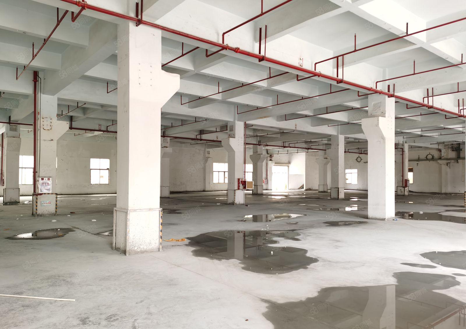 刚空出原房东独院厂房3000平方，工业用地，实用面积出租