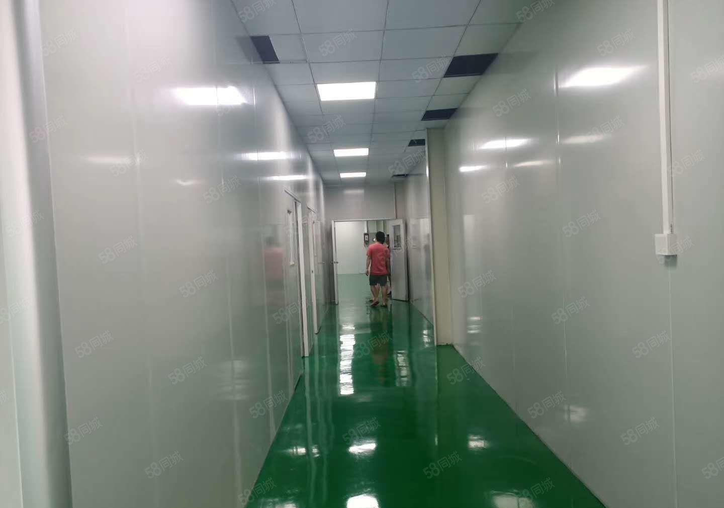 靓盘长安上沙一楼1300平，带5吨大航吊，豪华装修