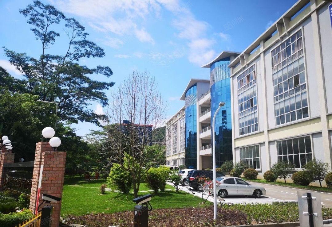 长安靠近深圳新出原房东2000平带豪华装修实际面积出租！