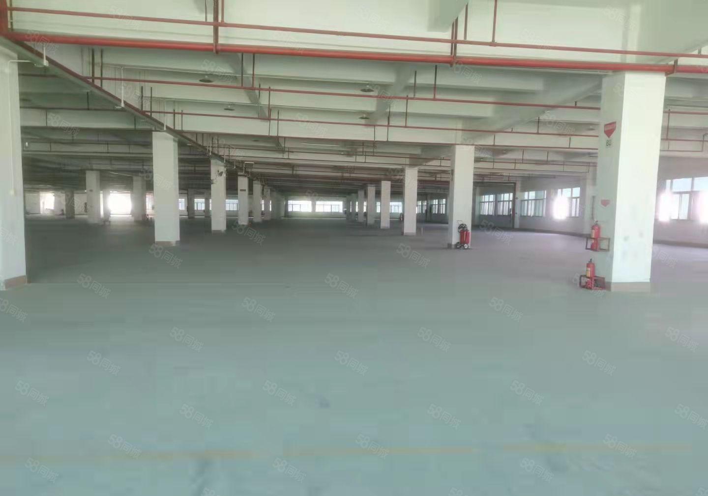 长安镇独院厂房出租，25000平，国有证厂房，可以办环评证