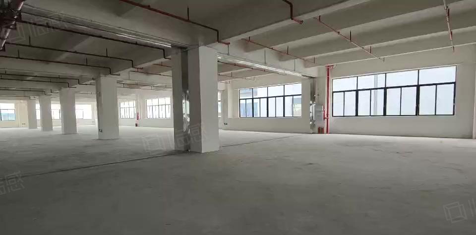 钜惠！东莞长安全新标准厂房出租500~5000平大小可分租