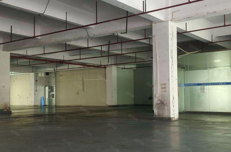 房东直租，长安涌头700平厂房，带精装办公室，园区空地大