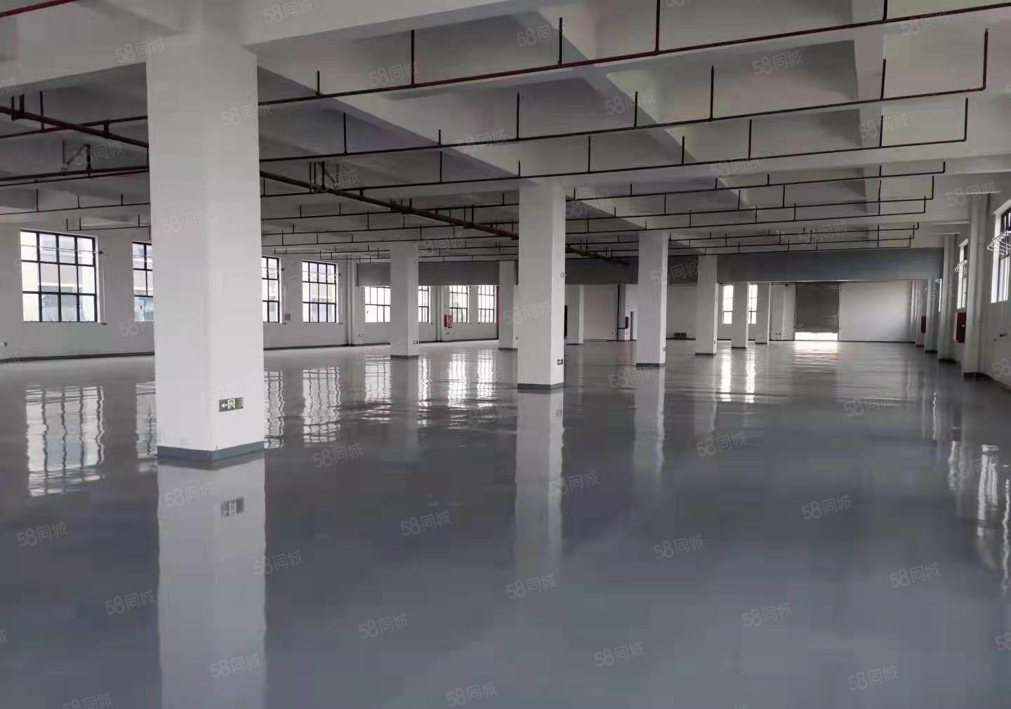 虎门新出红本标准厂房8万平大小分租，形象高端消防证件齐全