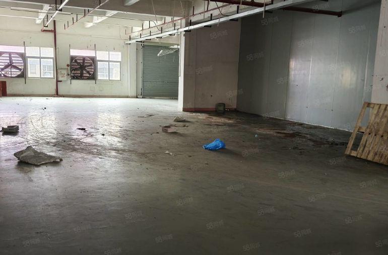 长安标准独院厂房800平方 现成水电办公室