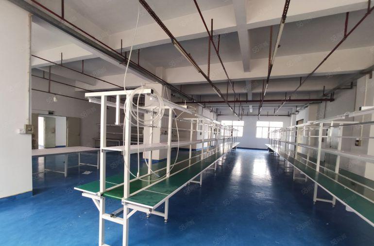 长安沙头南区附近楼上整层750平现成装修带拉线工业厂房出租