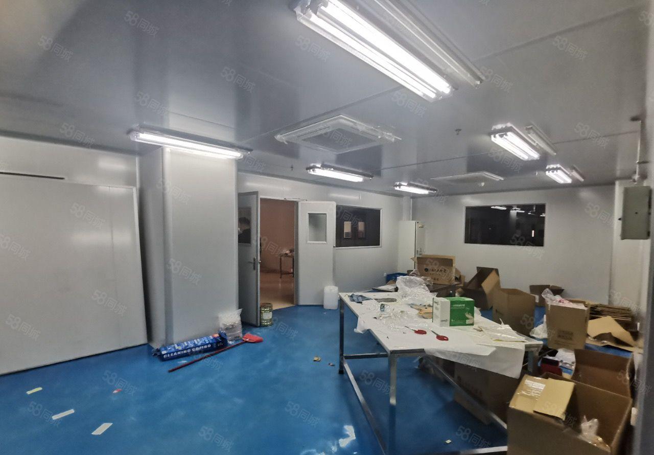 长安镇沙头社区新出无尘车间二楼一整层3900平方