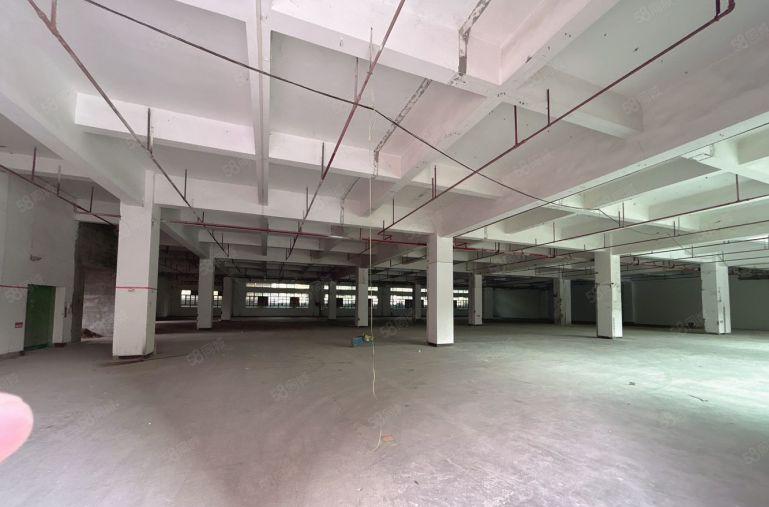 长安新出上市公司形象独门独院厂房招租可分租