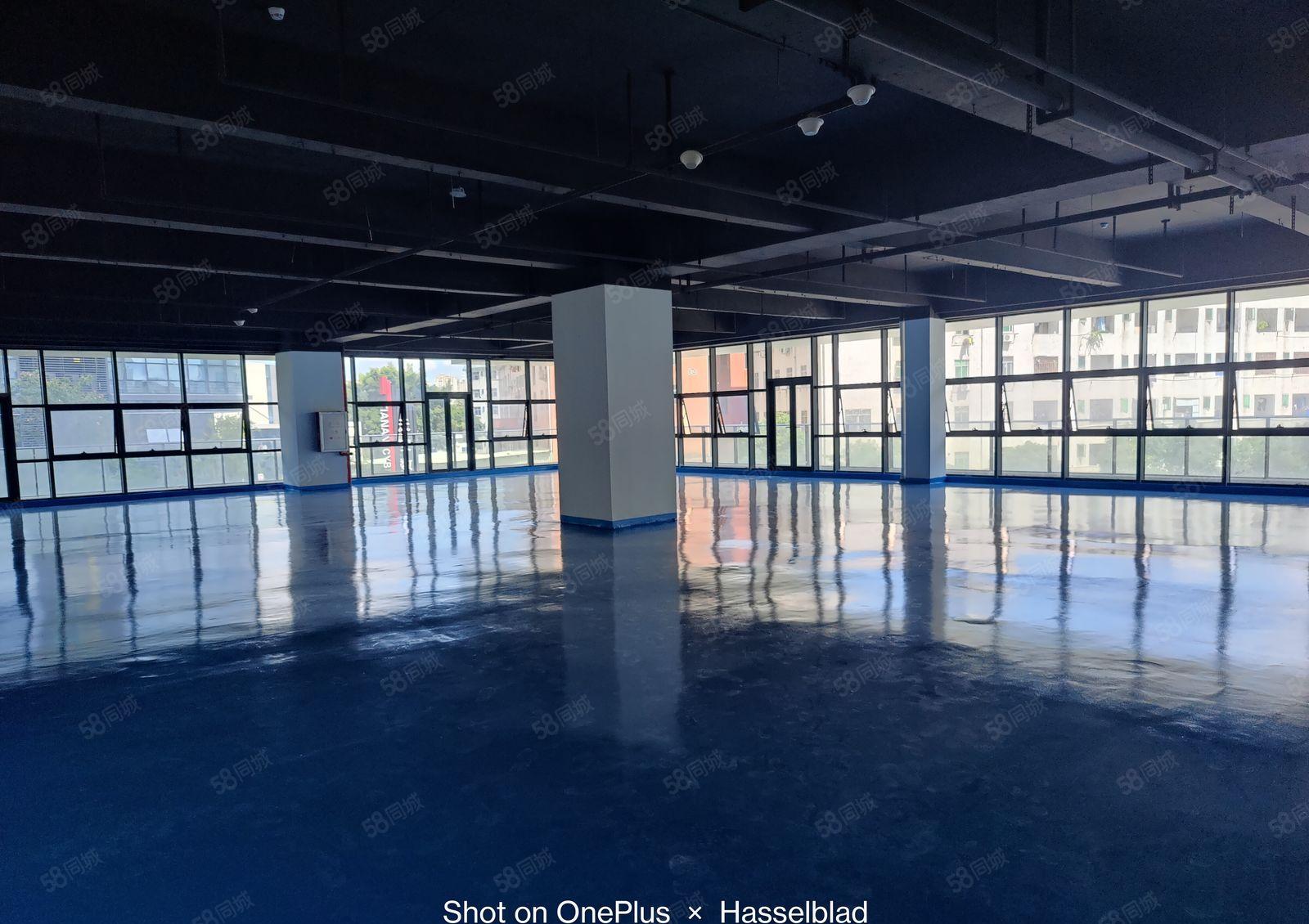 500起租长安临深高新园区全新厂房出租可生产可办公近高速路口