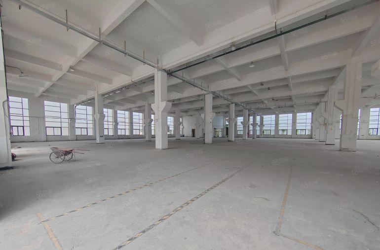 标准厂房独栋一楼8米高，园区形象好，空地大，周围生活配套