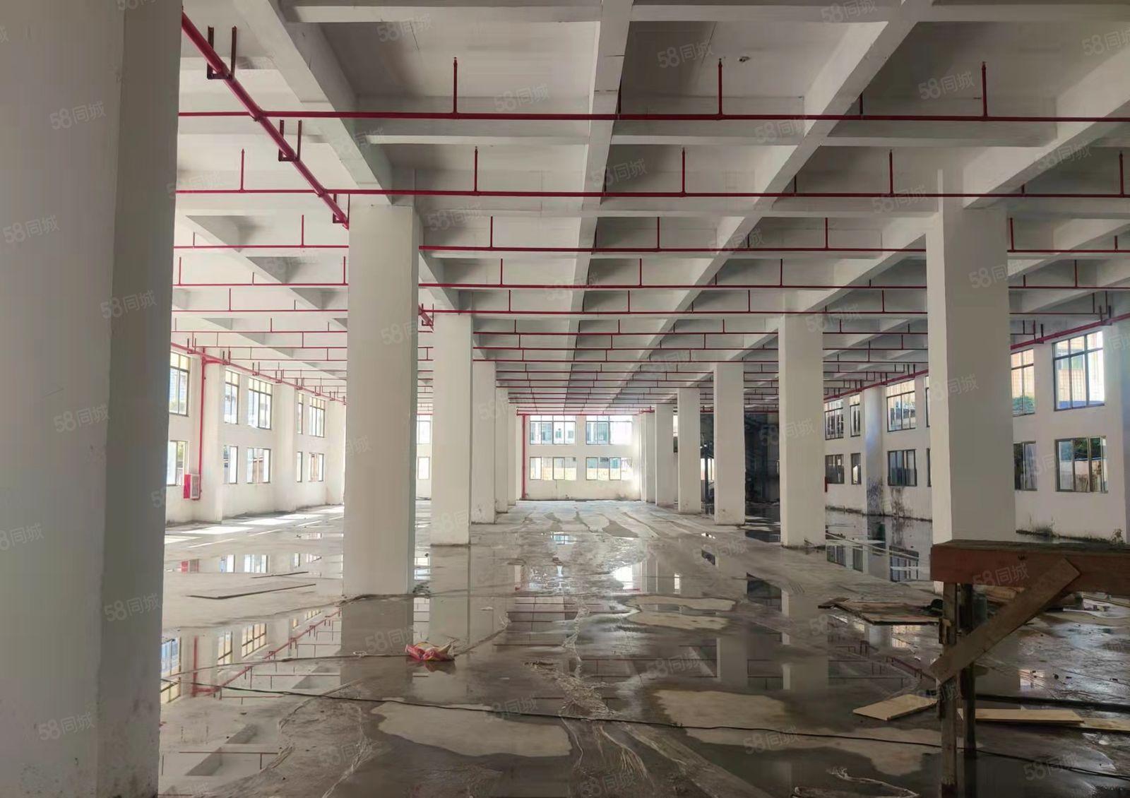 原房东 长安沙头新出标准厂房一楼2000平 租金低 水电齐