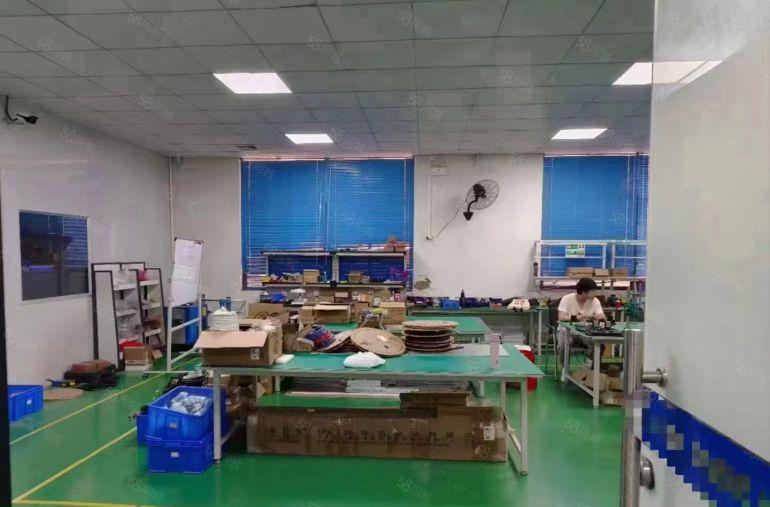 新出一楼1100平带豪华装修厂房