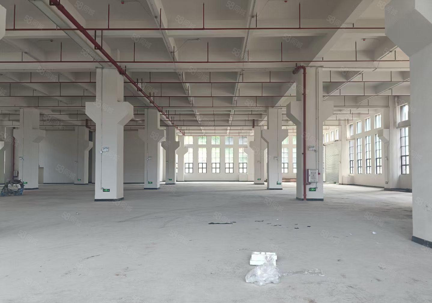 新出38888平全新红本厂房大小分租形象好空地大