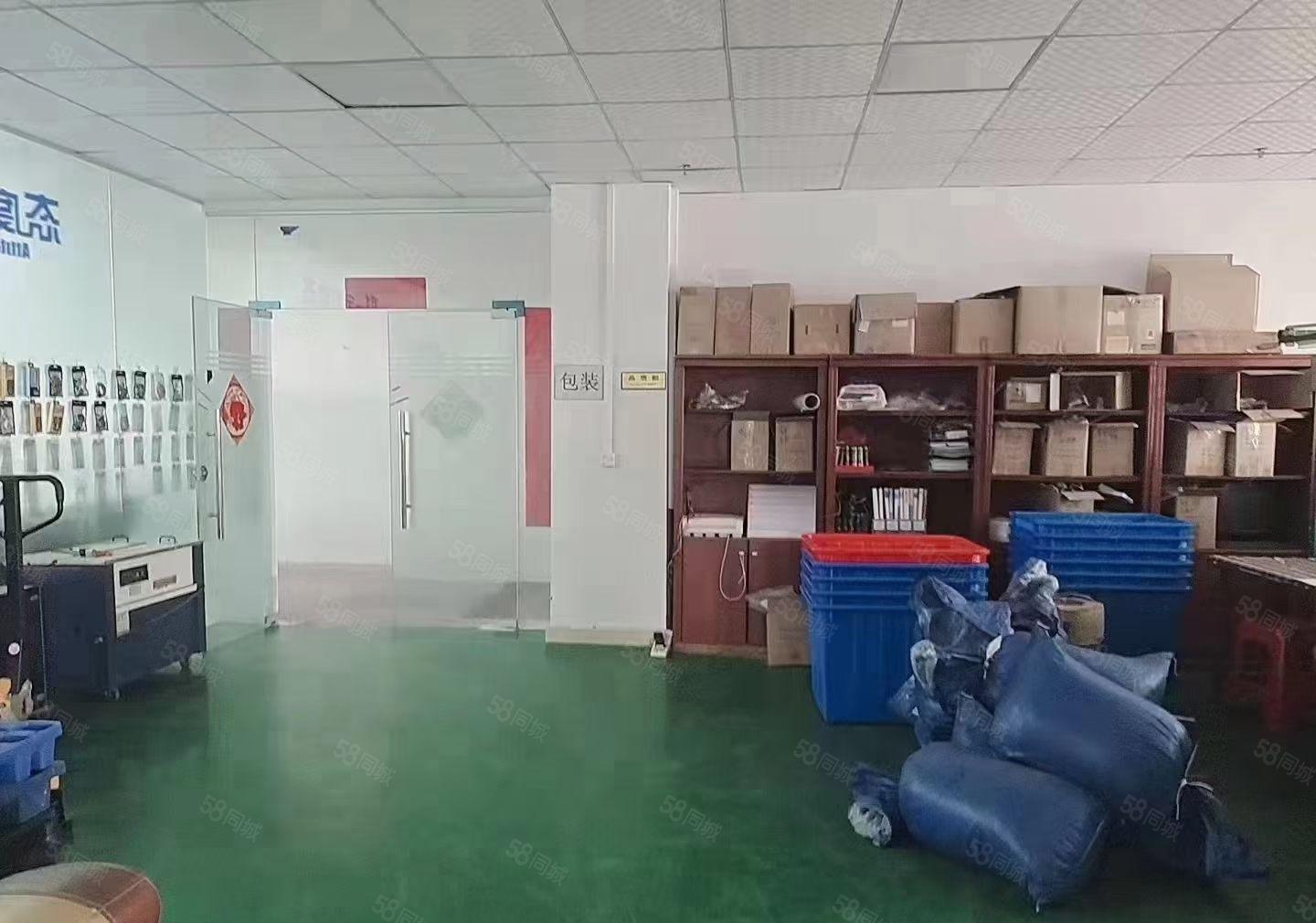 豪华装修水电齐全标准厂房