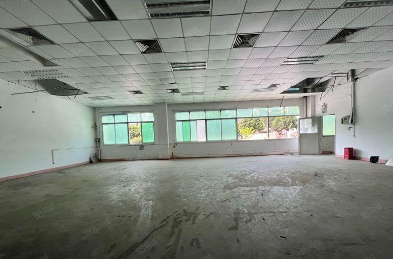 长安锦厦一楼1000平厂房间低价出租 临界深圳 五金 注塑