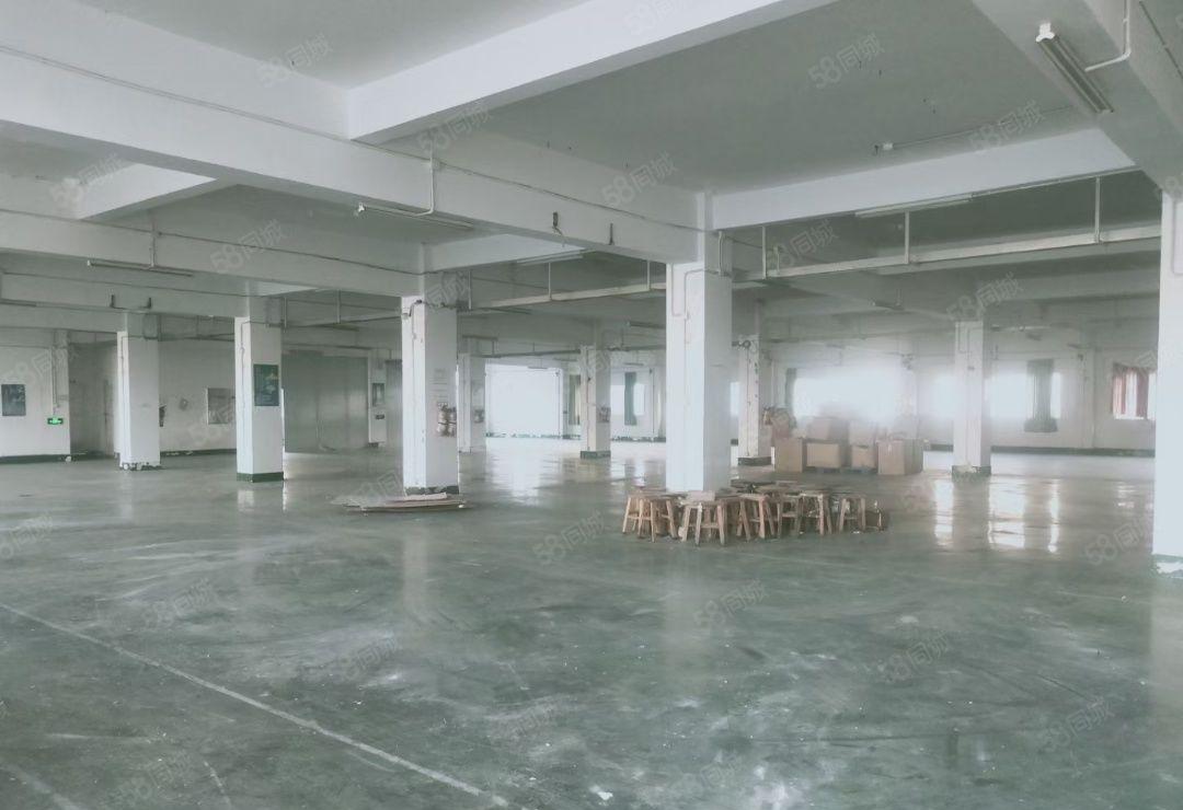 长安镇新安广深高速路口新出独院8600平厂房出租 大小可分租