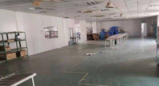 东莞东莞凤岗3000㎡ 厂房租售层高6米 配电315KVA 独院 可环评 可分租