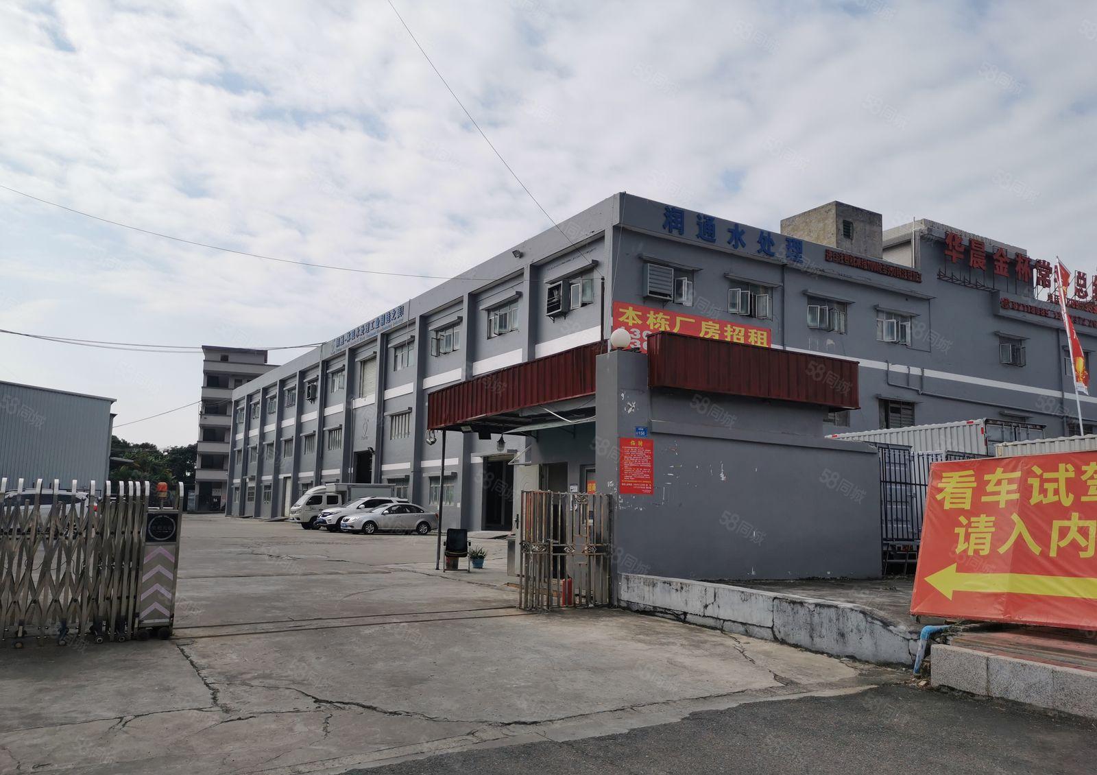 常平镇靠大朗新出标准厂房出租一楼7米高带牛角靠马路交通方便