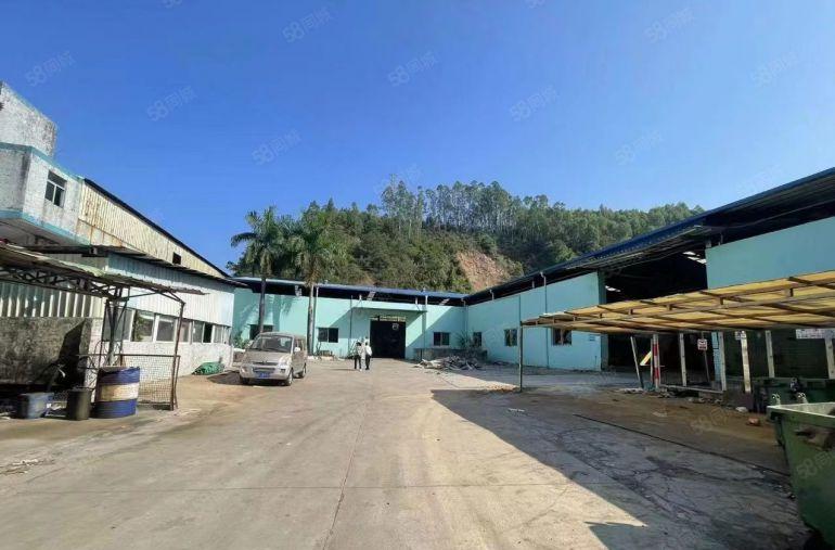 常平大京九塑胶城附近靠山边钢构低价单一层厂房仓库出租无居民