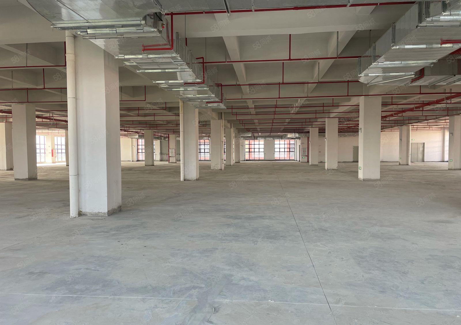 一个月起租临时仓库常平镇环城路新建园区5万平大小分