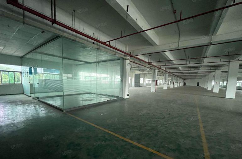 特价10元常平新原房东标准独院厂房仓库出租空地3000平