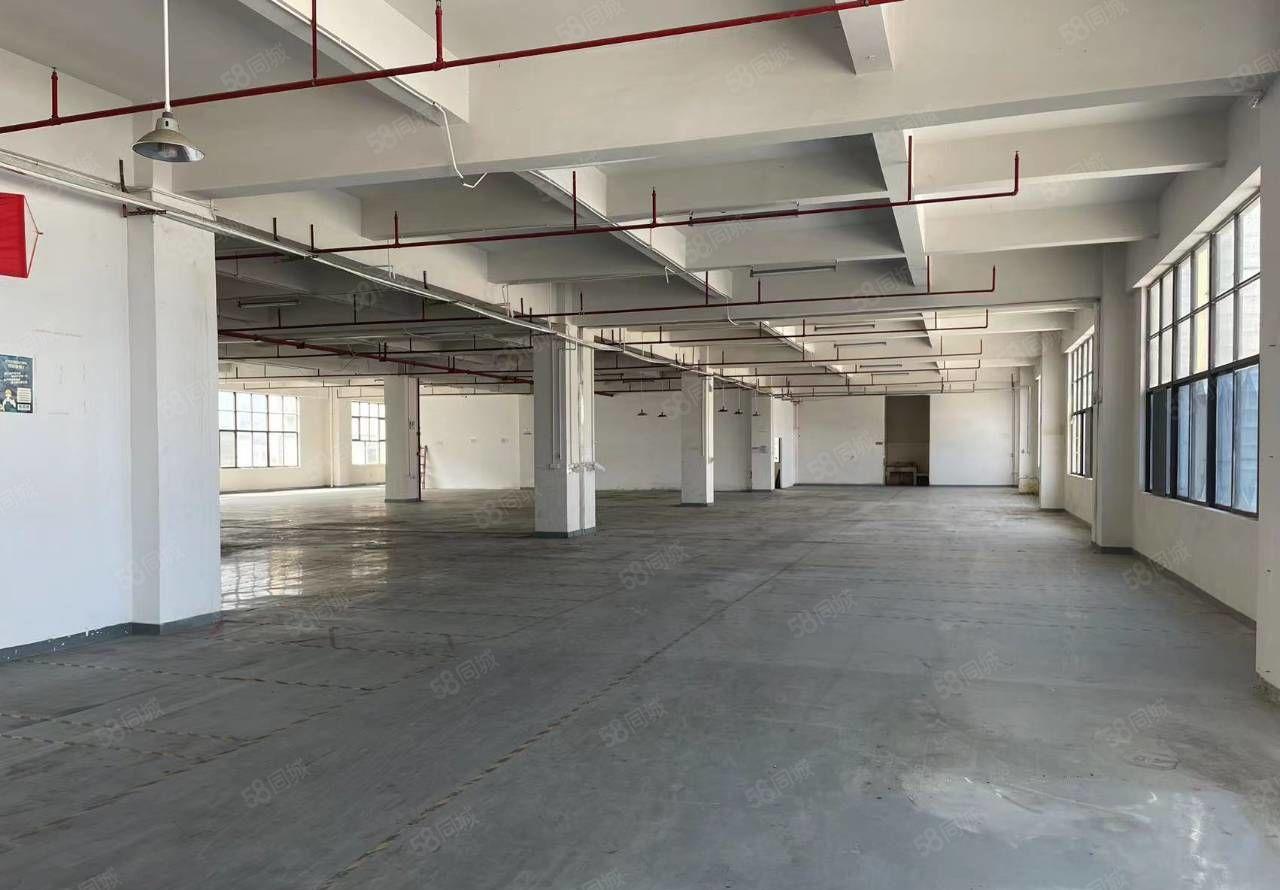 常平三楼一整层2800平方豪华装修 带喷淋 重工业厂房