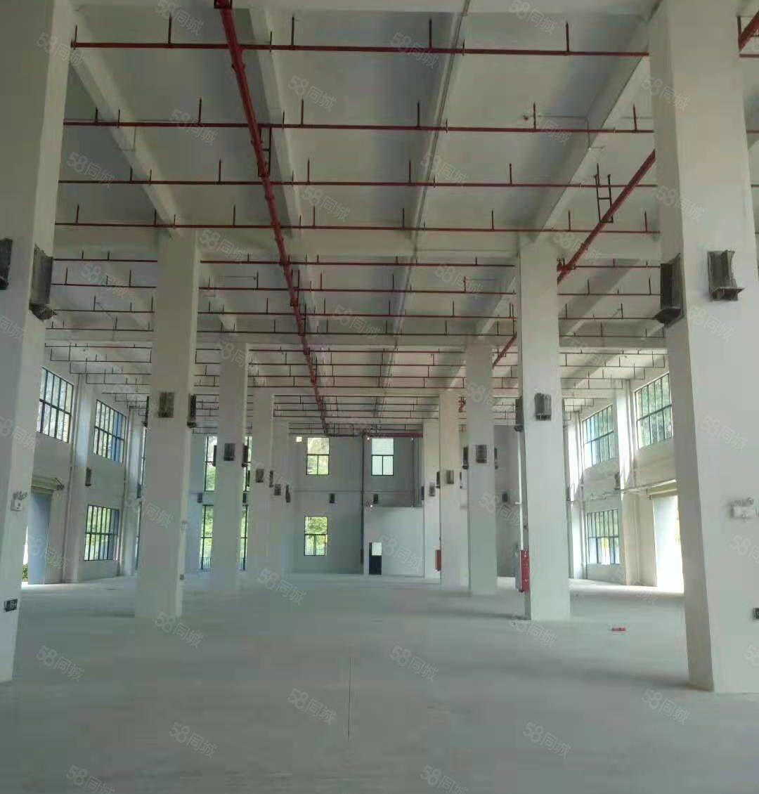 常平天鹅湖一楼2200平6米高厂房招租。水电到位带装修