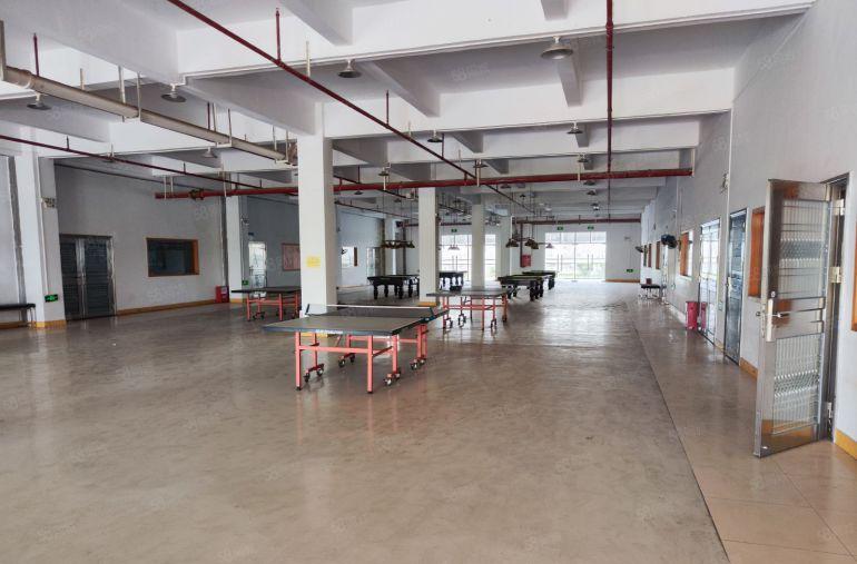 常平新出一楼很适合配送物流快递厂房空地很大实际面积出租环境好