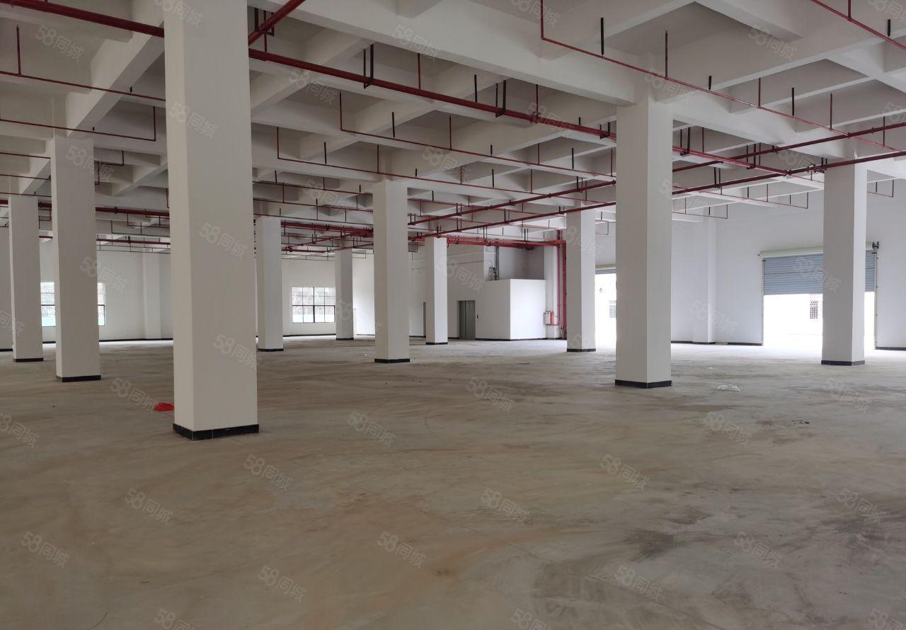 东莞常平镇全新标准厂房有VOC喷油环评指标，可分租可整租