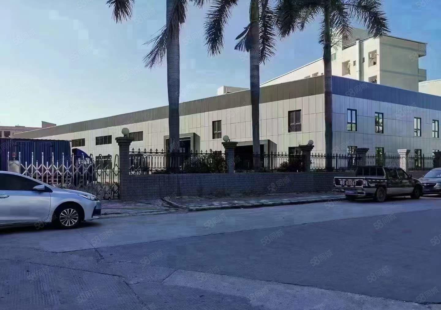 常平镇新建钢结构厂房3500平用电不限办公楼800平滴水八米