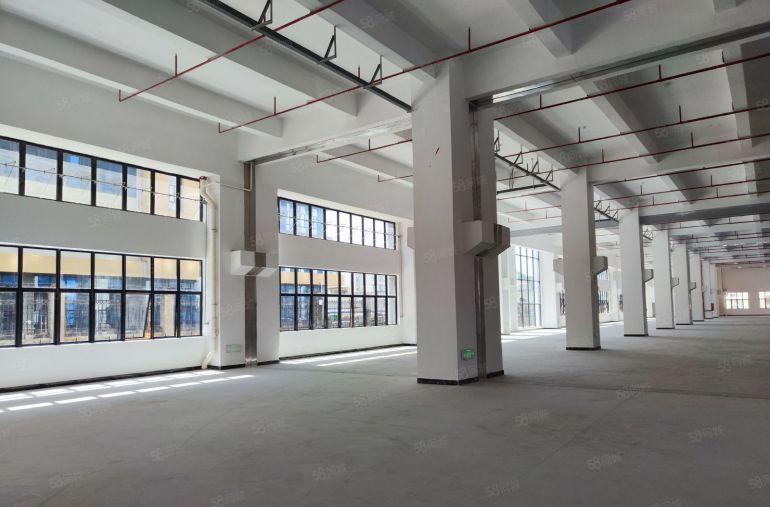 常平新出原房东长120米厂房，滴水7.5米带牛角，没有公摊