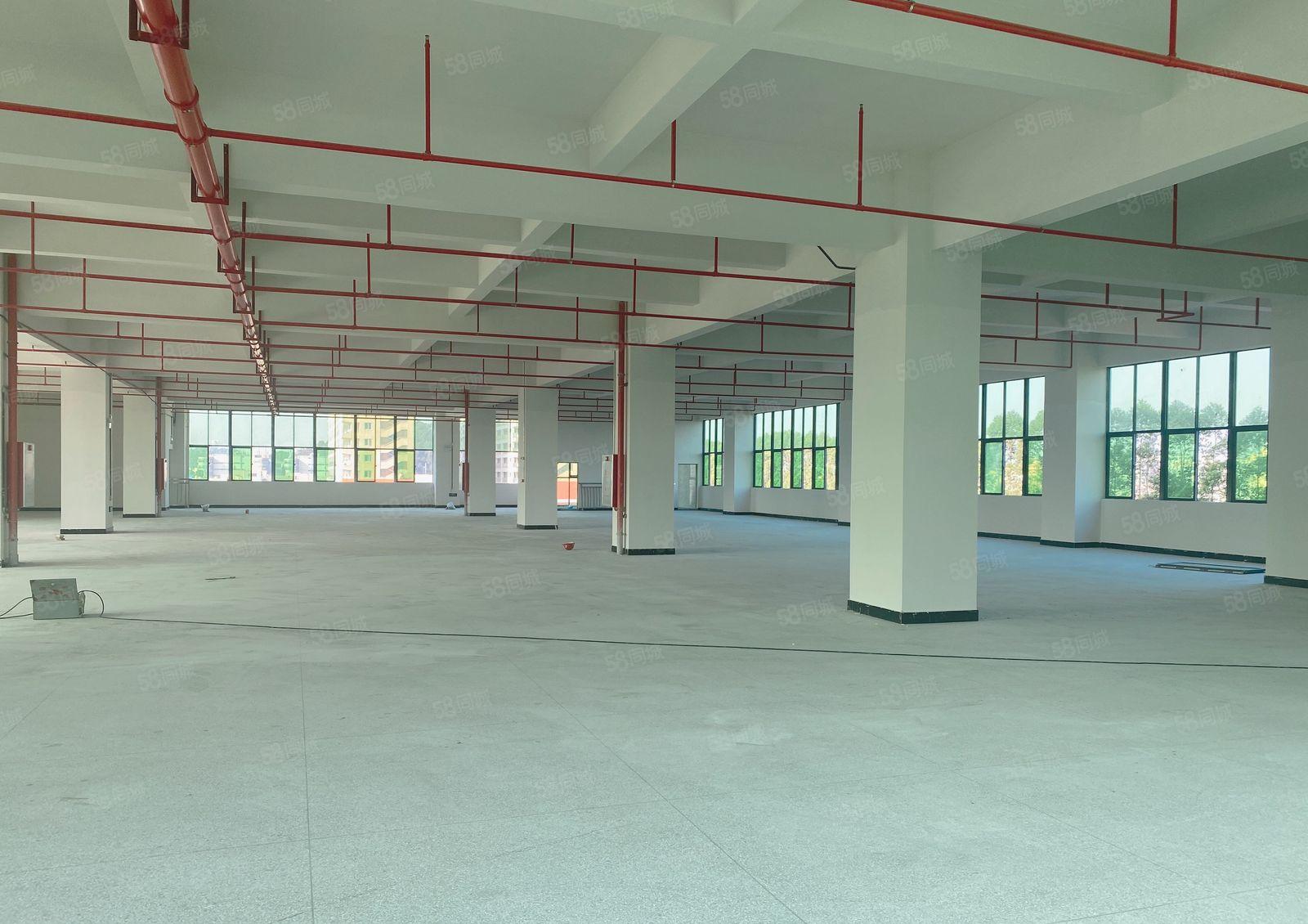 常平土塘全新独门独院厂房出租