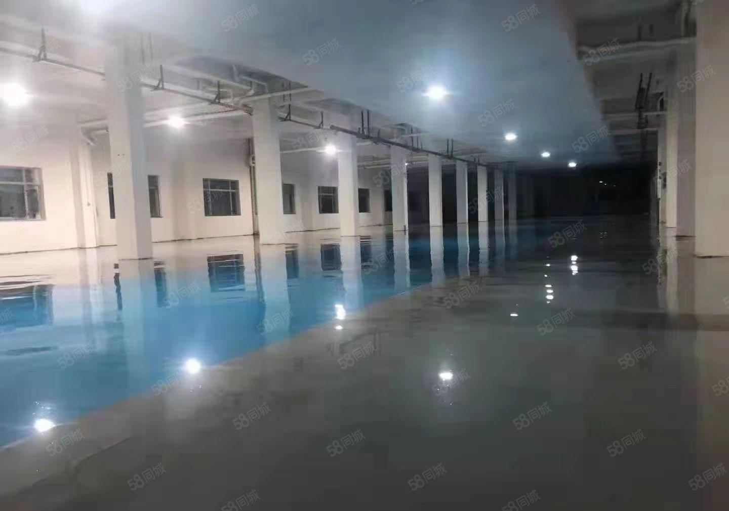 常平木伦新出花园氏厂房二楼2100平方，现成装修地坪漆办公室