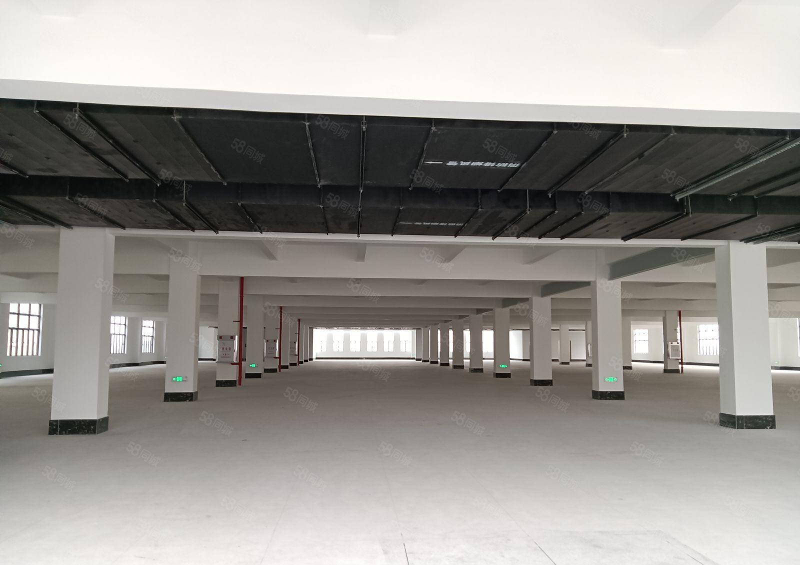 三楼全新厂房，带卸货平台，洗手间，工业用地