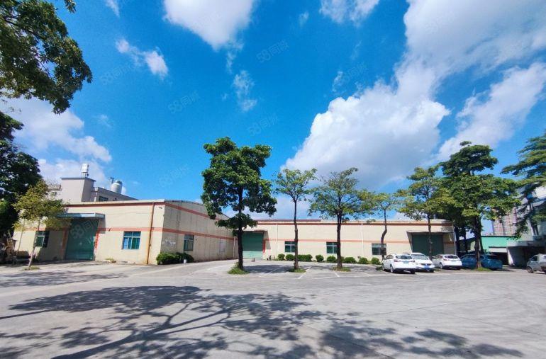 常平镇桥沥原房东单一层2000平方，滴水7米，空地1500