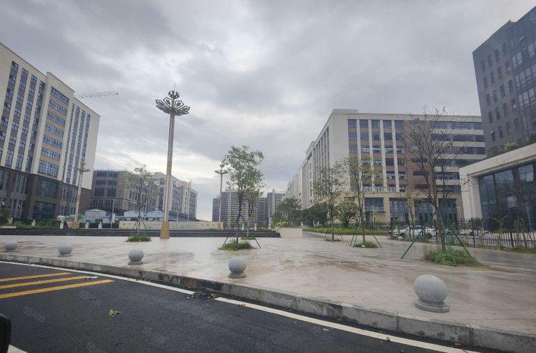 常平镇高新技术产业园出租原房东标准厂房带红本1500平方起分