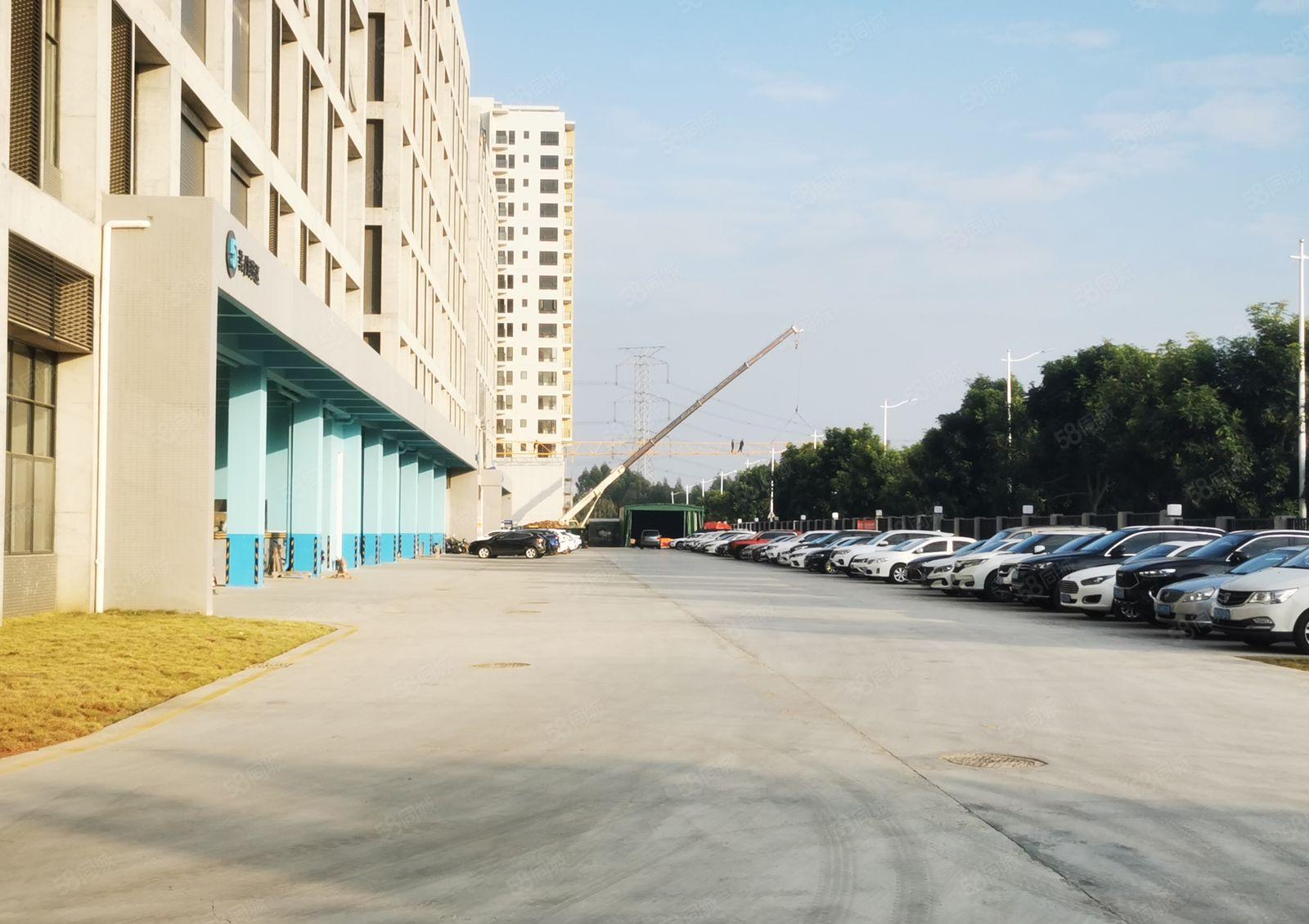 常平近东部工业区全新工业厂房每栋28000平可整租可分租