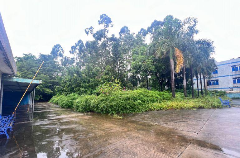 常平厂房出租 香港厂退租 超大空地水电过户原房东独门独院