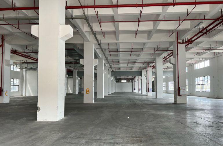 常平8米高一楼带牛角5000平方，可分租，园区空地大