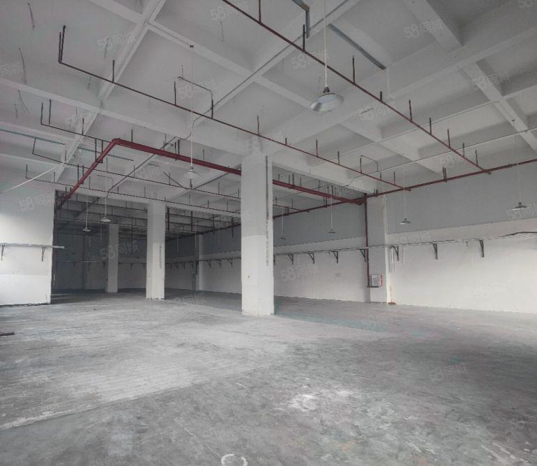 常平镇原房东标准一楼1000平方厂房出租，交通便利，价格便宜