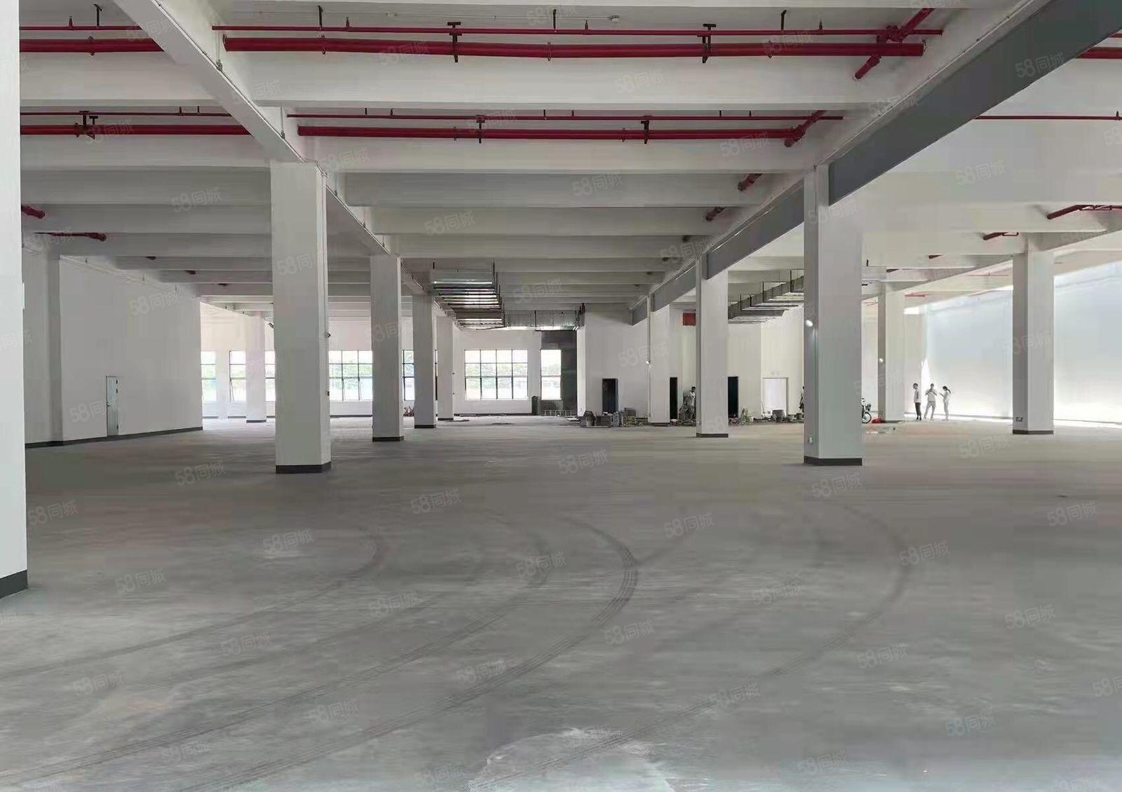 常平田尾全新厂房出租