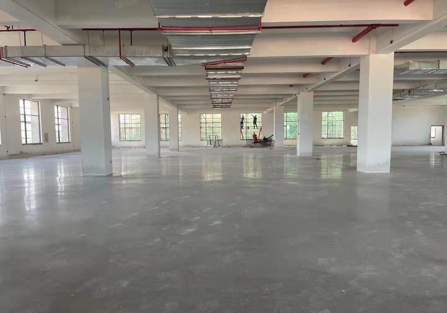 标准厂房20500平方，红本厂房，水电已到车间，工业集聚地