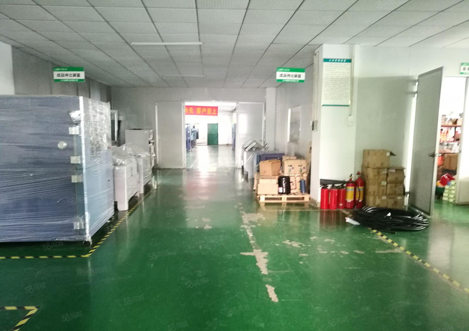 常平袁山贝工业区新出楼上950平米，带现成装修水电，形象好