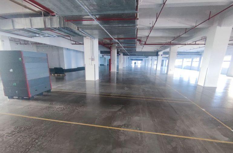 常平高速路口园区厂房出租3000平交通便利水电齐全价格优惠