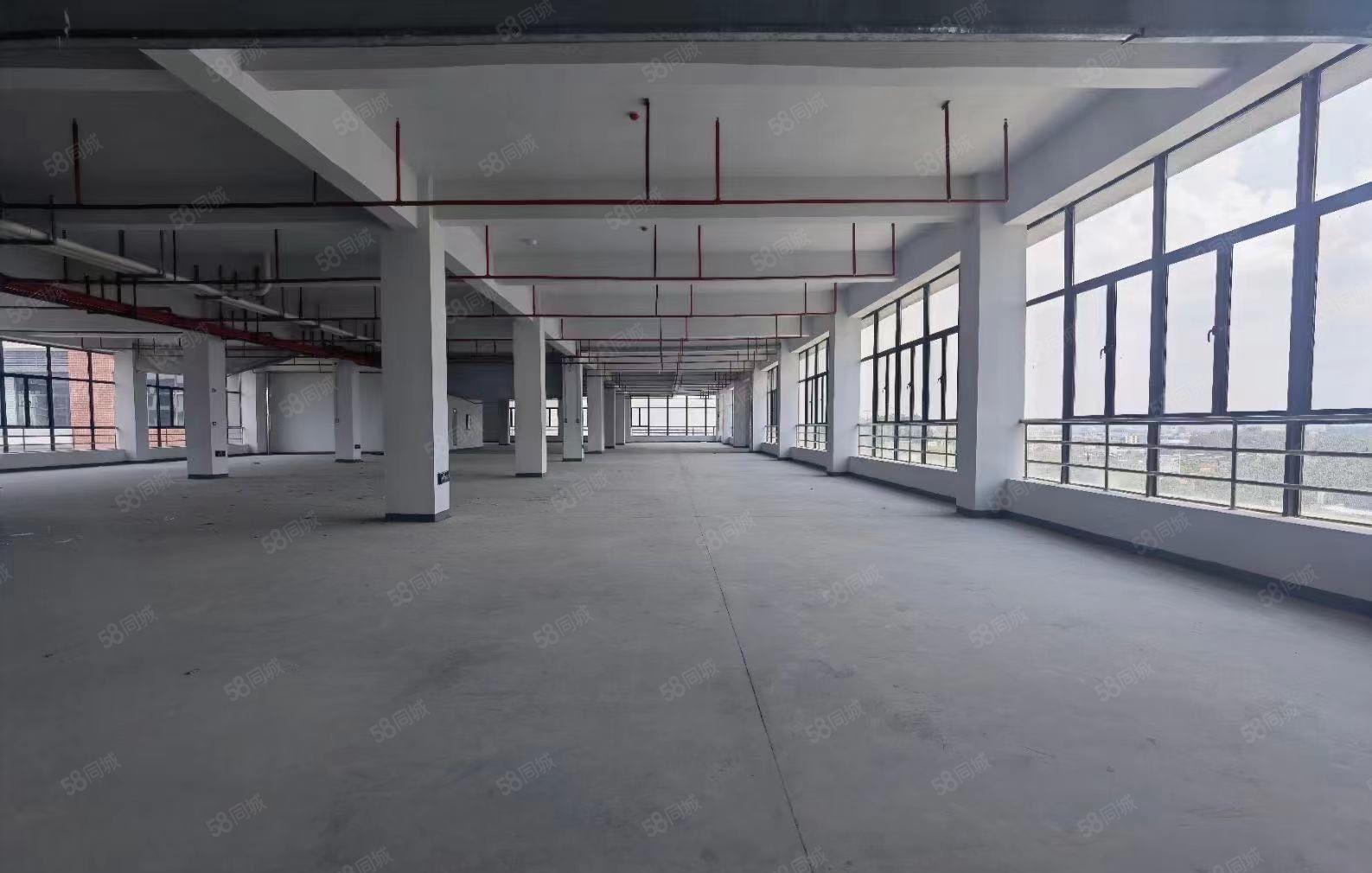 常平高速路口新出红本标准独院25000平方，可分层租