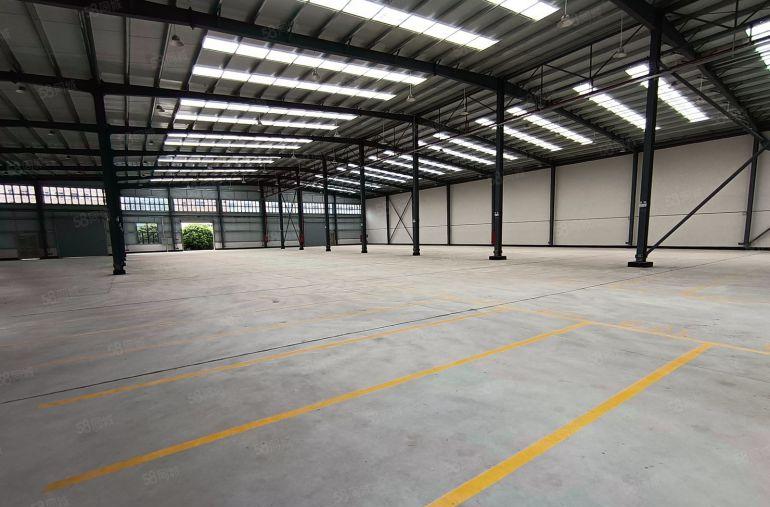 常平镇全新单一层钢结构厂房出租，形象好，采光好