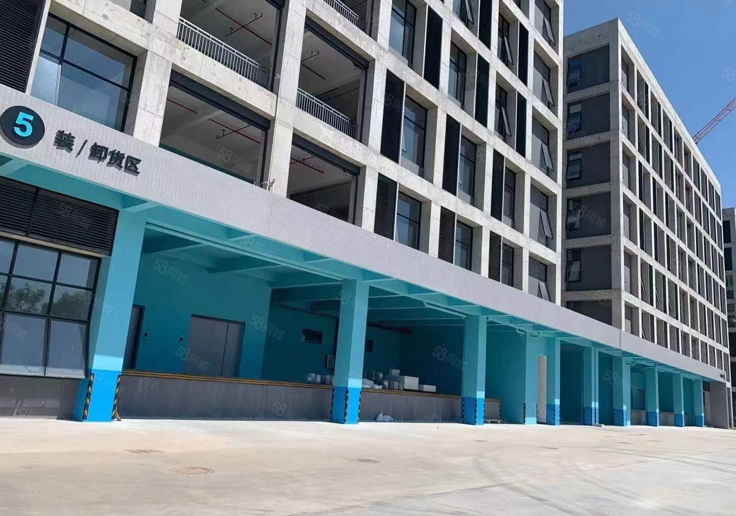 业主直租常平镇高标红本厂房新建园区15万平大小分租