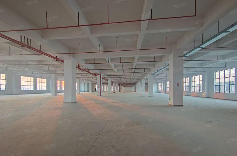 常平镇原房东标准楼上6400平方厂房出租，形象超好，价格便宜