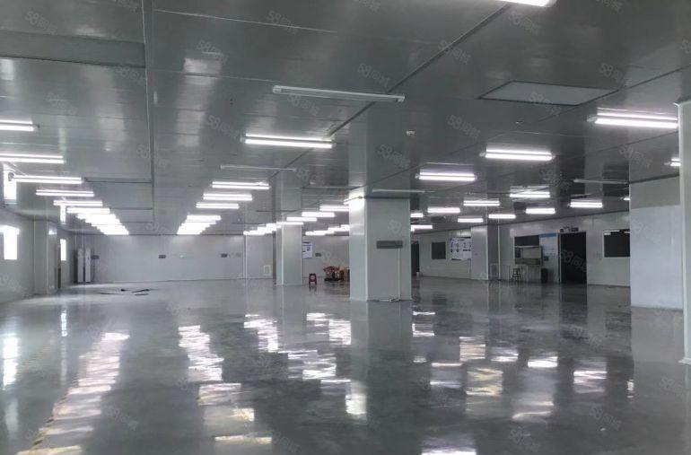 常平空出无尘车间1600平招租厂房形象好