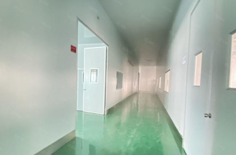 常平原房东 二楼1500 无尘车间 低价10元出租形象超好