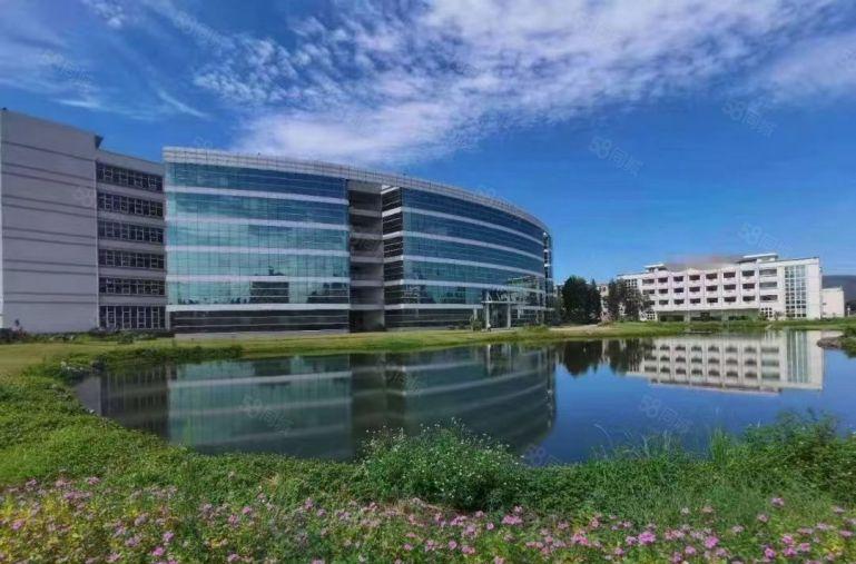 常平高速口新出独门独院60000平单层8000平厂房仓库出租